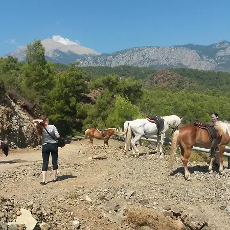 Oranj Ranch