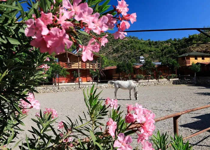 Oranj Ranch 3* Kemer