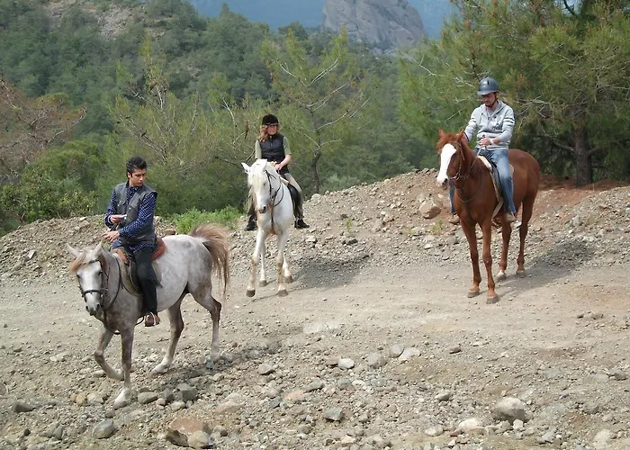 Hotel Oranj Ranch 3*