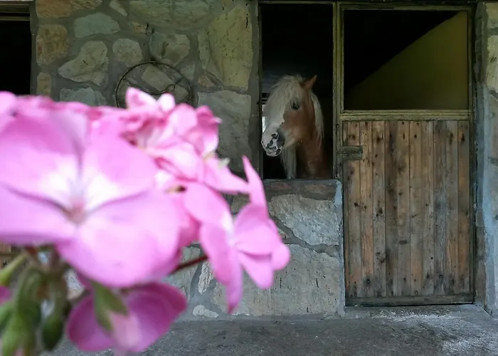 Hotel Oranj Ranch Kemer