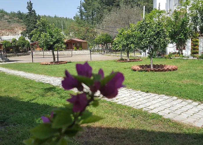 Oranj Ranch Hotel 3*