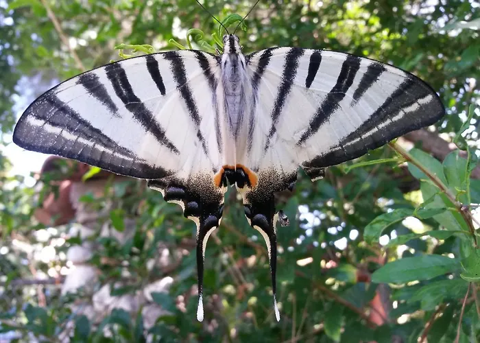 Hotel Oranj Ranch Kemer