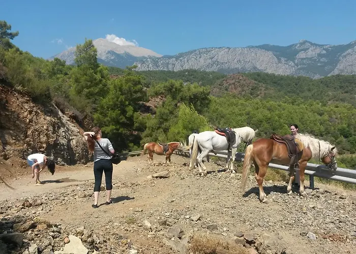 Oranj Ranch
