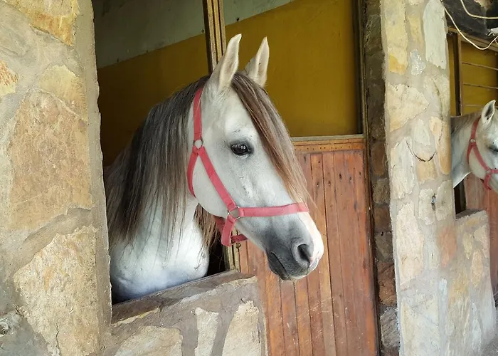Hotel Oranj Ranch Kemer