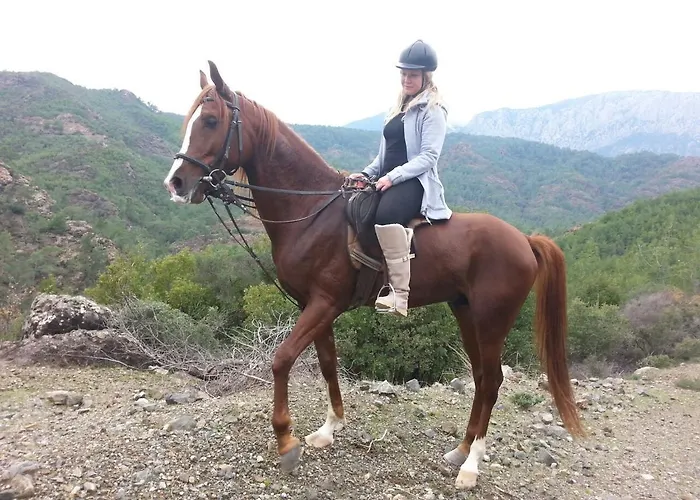 Hotel Oranj Ranch 3*