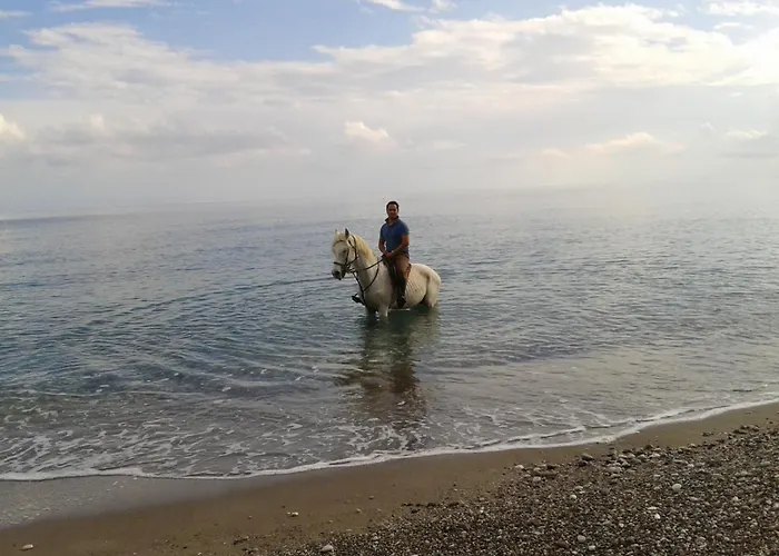 Oranj Ranch 3* Kemer