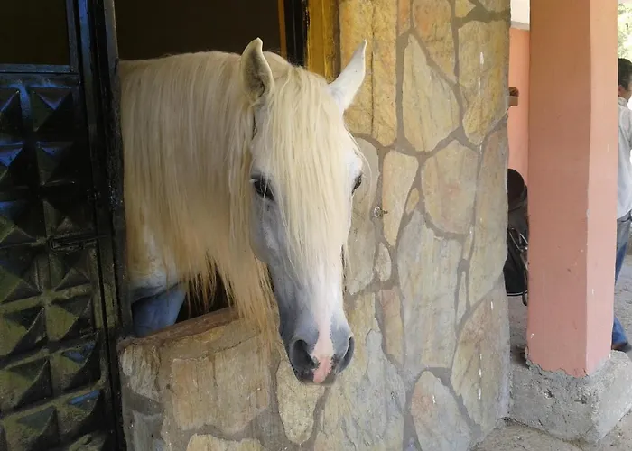 Hotel Oranj Ranch 3*