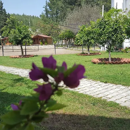 Oranj Ranch Otel 3*