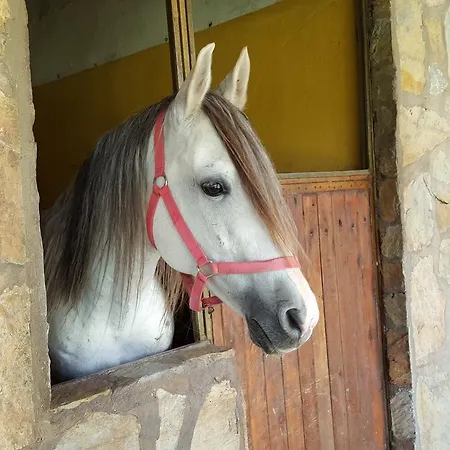 Otel Oranj Ranch Kemer