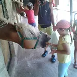 Oranj Ranch Otel Kemer