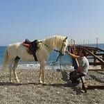 Oranj Ranch 3*
