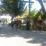 Oranj Ranch
