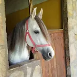 Otel Oranj Ranch Kemer