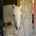 Otel Oranj Ranch 3*