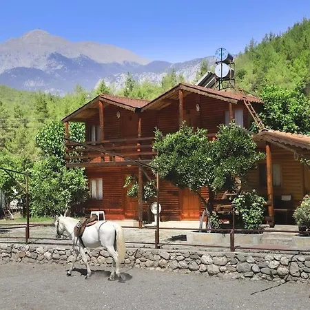 Hotel Oranj Ranch