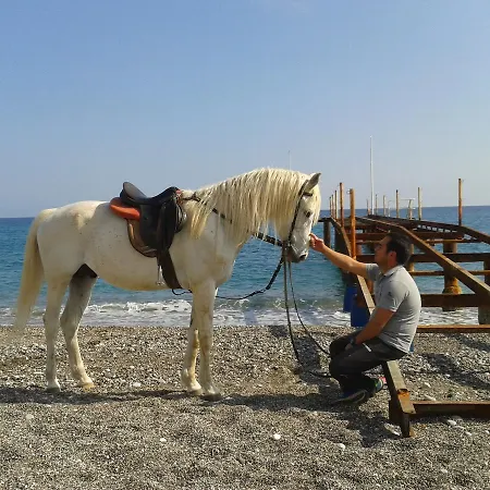 Oranj Ranch 3*