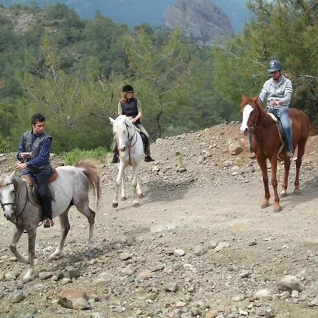 Hotel Oranj Ranch 3*