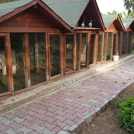Oranj Ranch Hotel
