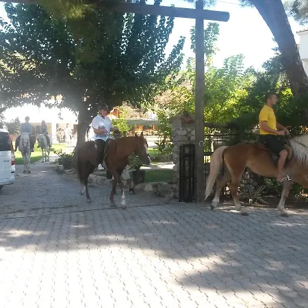 Oranj Ranch