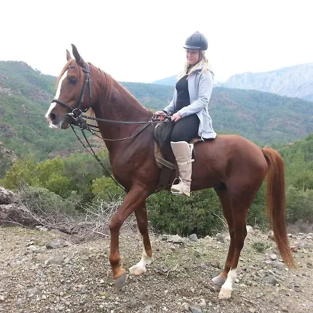 Hotel Oranj Ranch 3*