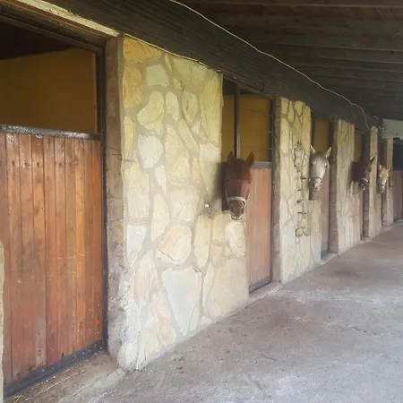 Otel Oranj Ranch Kemer