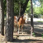Oranj Ranch 3*