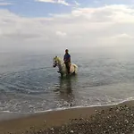 Oranj Ranch 3* Kemer