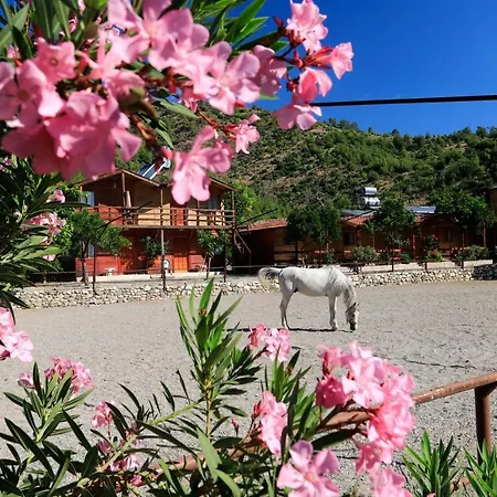 Oranj Ranch 3* 케메르