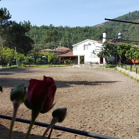 Oranj Ranch Kemer