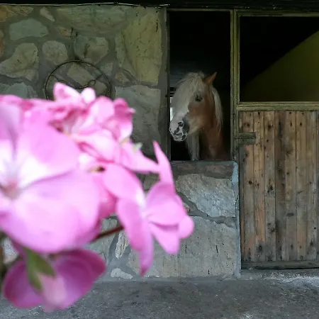 Szálloda Oranj Ranch Kemer