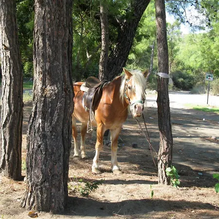 Oranj Ranch 3*