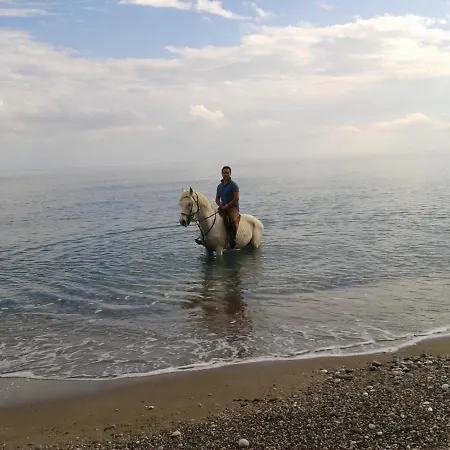 Oranj Ranch 3* Kemer