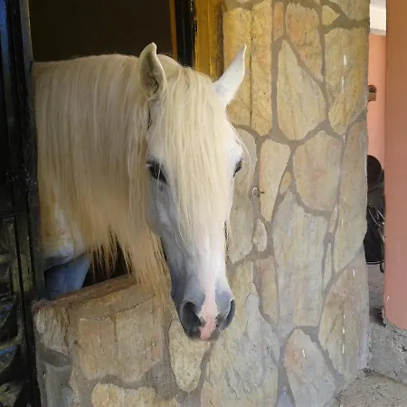 Szálloda Oranj Ranch 3*