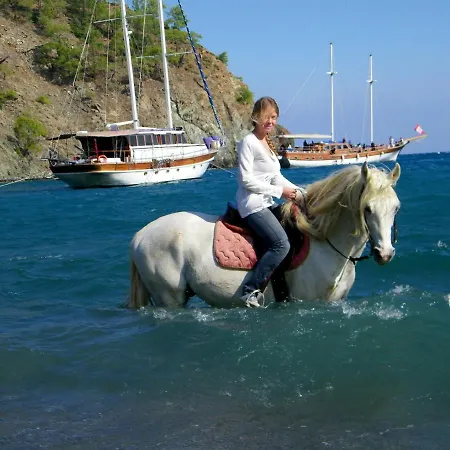 Oranj Ranch Отель